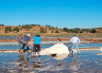 Un tesoro vivo: Extracción de sal de mar en Lo Valdivia