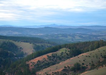 Sembrando futuro en el secano costero de la región