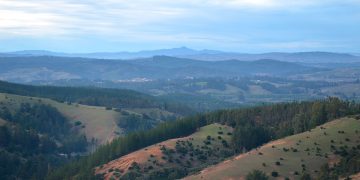 Sembrando futuro en el secano costero de la región