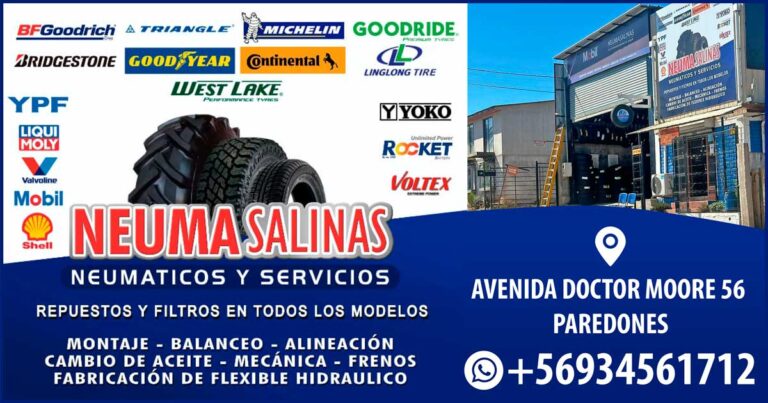 NeumaSalinas Web 768x403